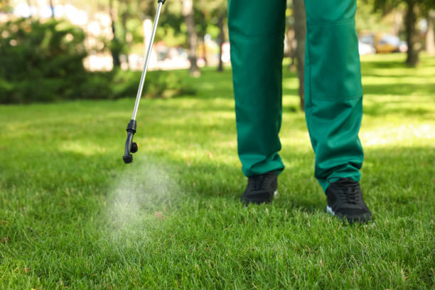 Best Mosquito Control Services  in Johnson City, KS