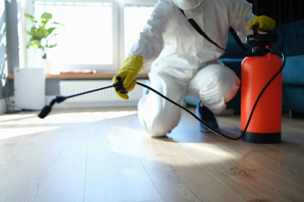 Best Pest Removal Services  in Johnson City, KS