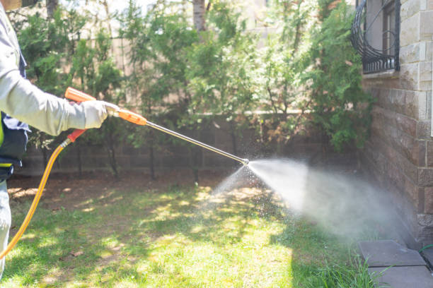 Best Exterminator Services  in Johnson City, KS