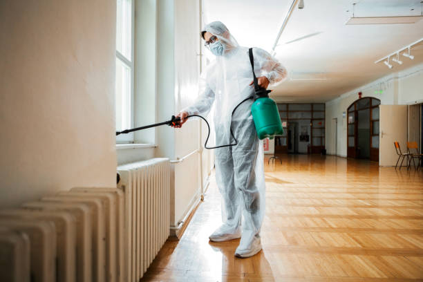 Best Termite Control Services  in Johnson City, KS