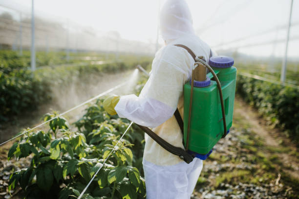 Best Ant Control Services  in Johnson City, KS